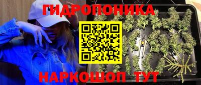 трава Апшеронск