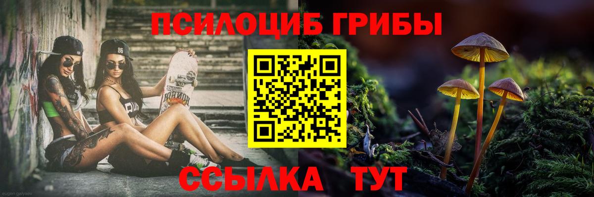 Галлюциногенные грибы Psilocybine cubensis  Наро-Фоминск 