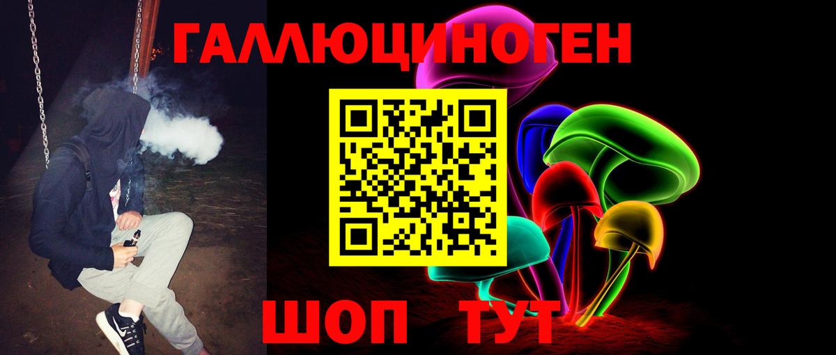 Псилоцибиновые грибы Psilocybe Наро-Фоминск