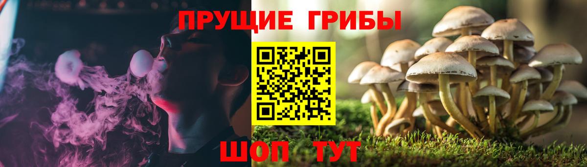Галлюциногенные грибы GOLDEN TEACHER  Вход с VPN  магазин    Наро-Фоминск 