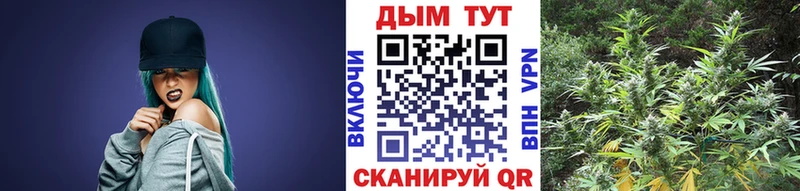 Конопля Amnesia Наро-Фоминск
